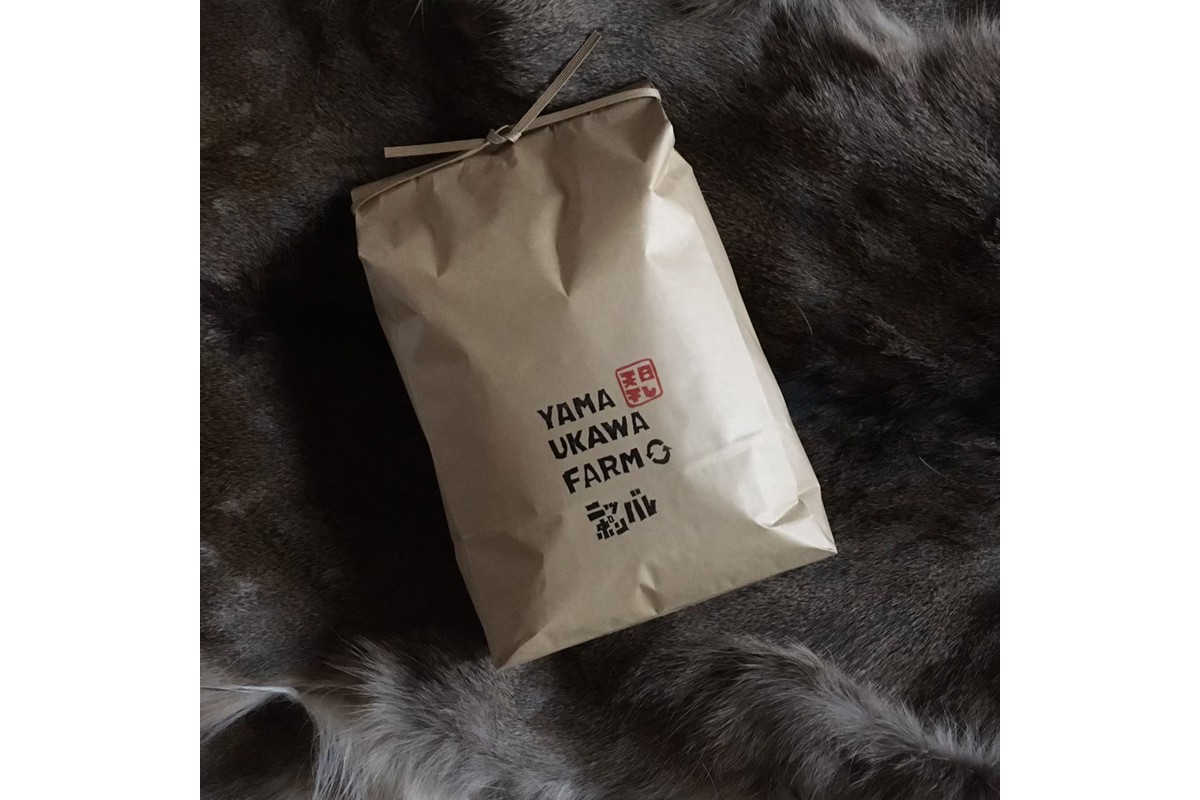 令和7年産　日本晴（玄米）2kg 米 玄米 2kg ふるさと納税 京都 丹後 数量限定　YF00011