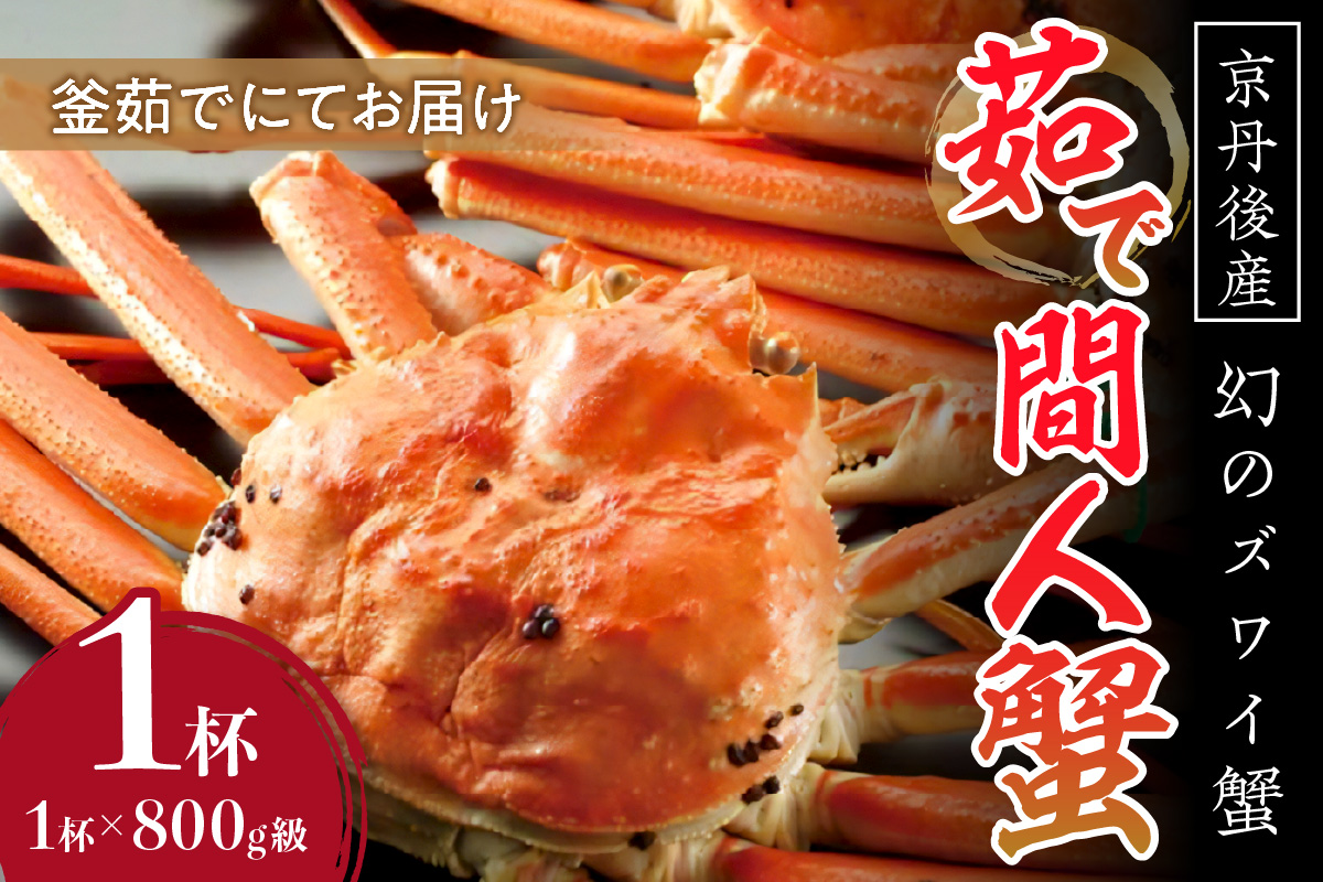 【幻のズワイ蟹】京丹後産 茹で間人蟹 鮮度抜群、釜茹でにてお届け！！ 800g級×1杯　YK00083