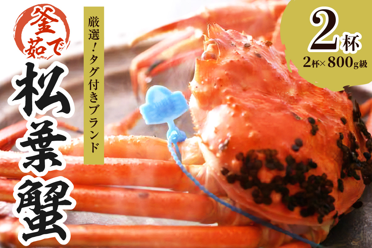 【厳選！！タグ付きブランド】茹で松葉かに 鮮度抜群、釜茹でにてお届け！！ 800g級×2杯　YK00431