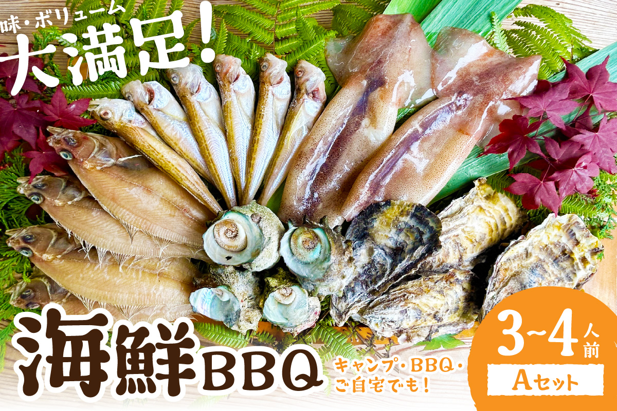 【先行予約】大満足！京丹後・海鮮BBQ　Aセット　5種20品（3～4人前）（2026年4月中旬～発送）　YK00552