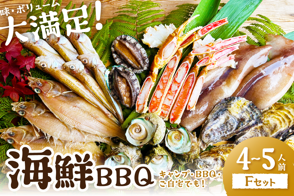【先行予約】大満足！京丹後・海鮮BBQ　Fセット　豪華盛り合わせ　生ズワイガニ　アワビ付　7種23品（4～5人前）（2026年4月中旬～発送）　YK00557