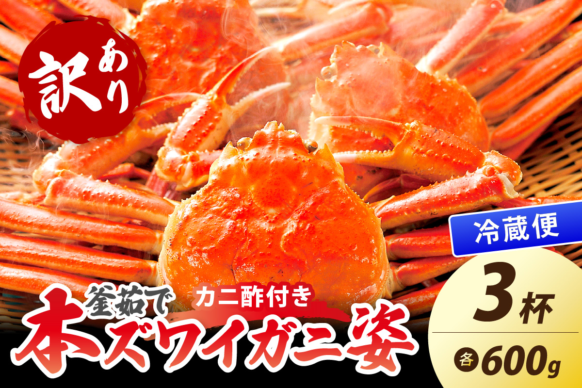 【大好評！カニ酢付き】訳あり！釜茹で！本ずわいがに姿 600g×3杯　YK00444