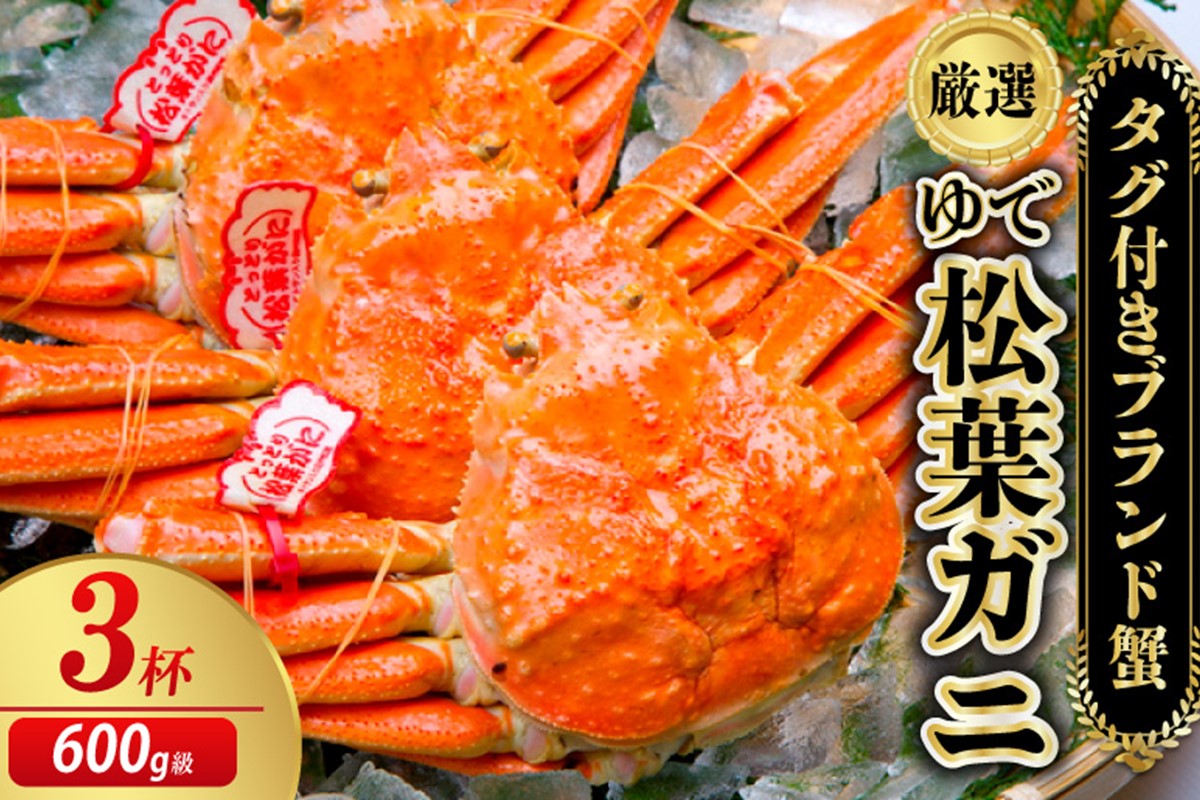 【先行予約】【厳選！タグ付きブランド蟹】茹で松葉かに（600g級×3杯）（2026年1月～発送）　YK00231