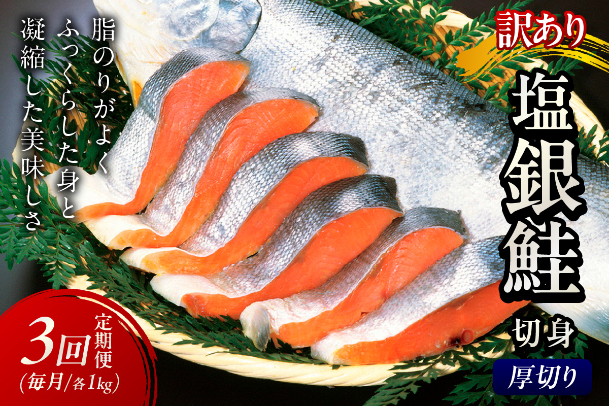 お手軽！絶品！厚切り　塩銀鮭切身 約1kg（プロトン凍結　訳あり　不揃い）　定期便　月1回×3ヵ月　YK00364