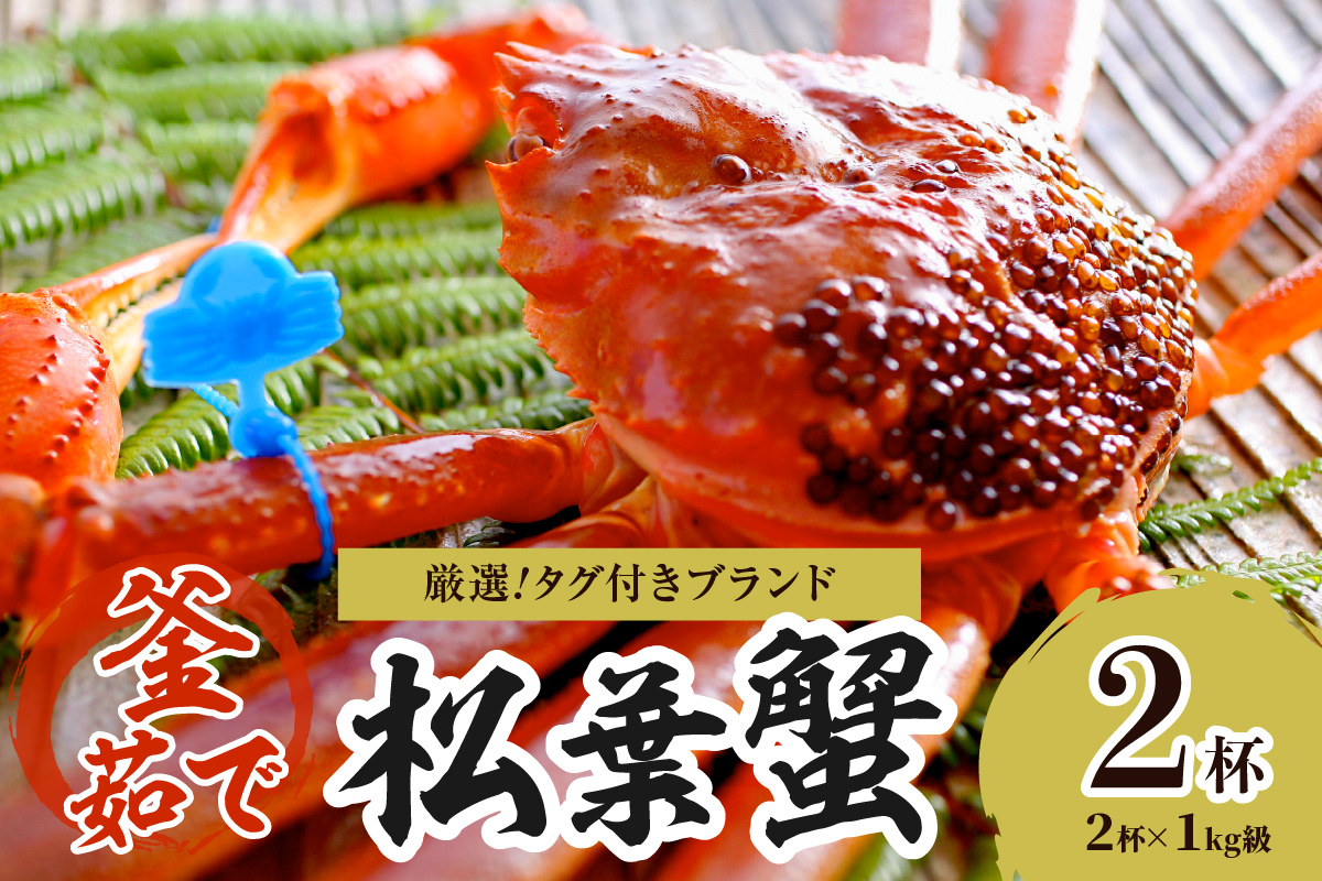 【厳選！！タグ付きブランド】茹で松葉かに 鮮度抜群、釜茹でにてお届け！！ 1kg級×2杯　YK00496