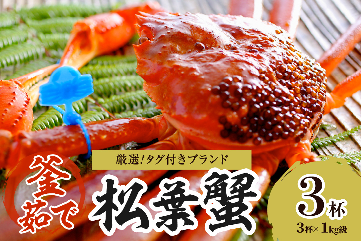 【厳選！！タグ付きブランド】茹で松葉かに 鮮度抜群、釜茹でにてお届け！！ 1kg級×3杯　YK00497