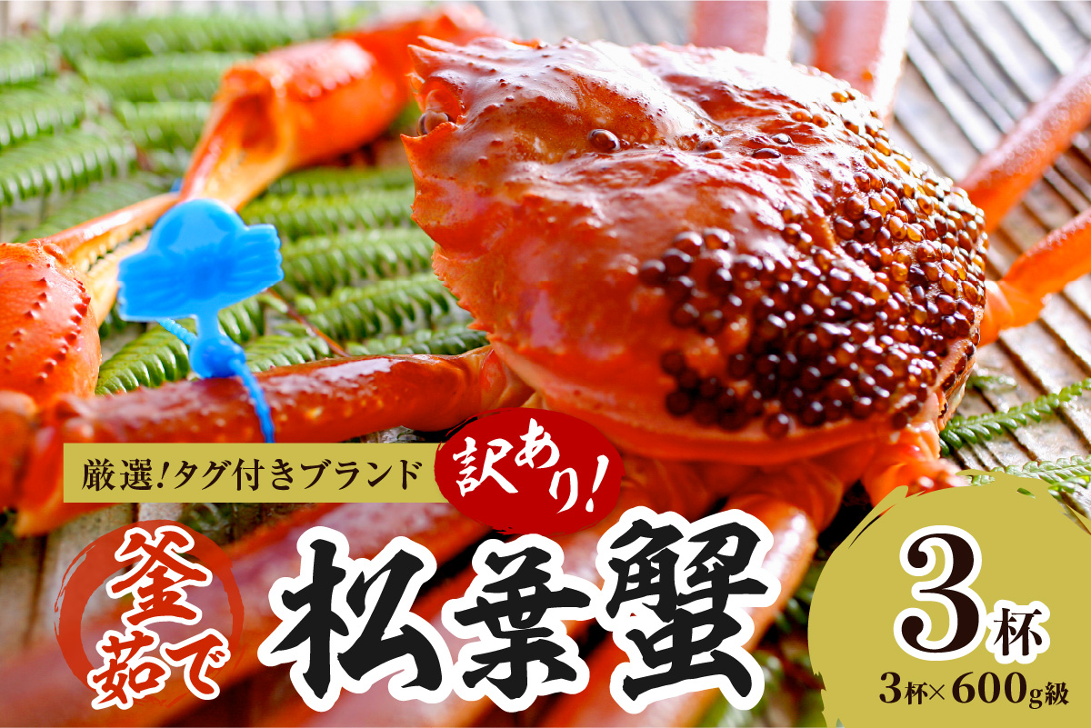 【訳あり！！タグ付きブランド】茹で松葉かに 鮮度抜群、釜茹でにてお届け！！ 600g級（足1本落ち）×3杯　YK00503