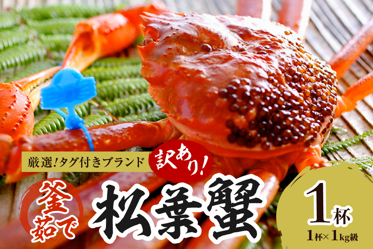 【訳あり！！タグ付きブランド】茹で松葉かに 鮮度抜群、釜茹でにてお届け！！ 1kg級（足1本落ち）×1杯　YK00504