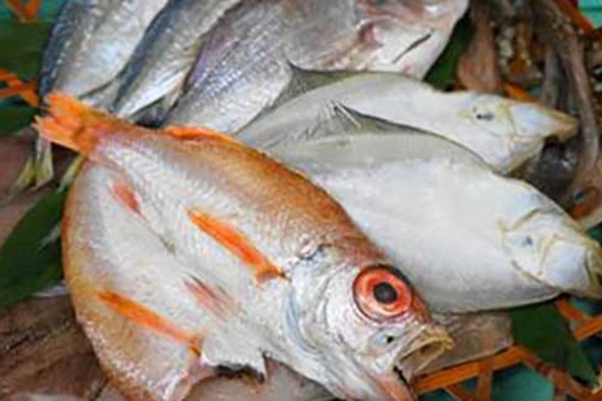 【数量限定30】干し物詰め合わせ　YY00004