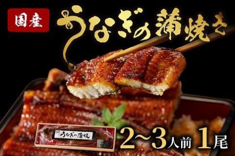 うなぎの蒲焼き2~3人前(1尾)　AN00093