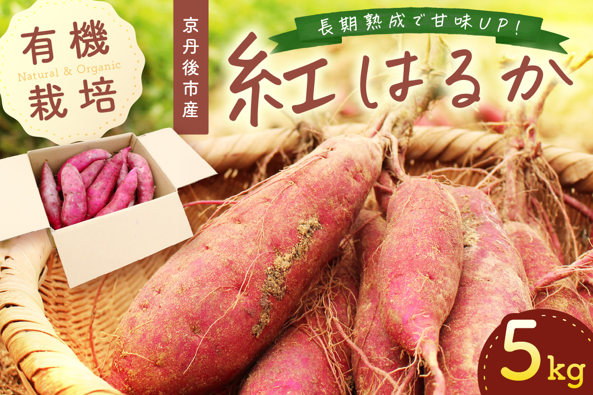 [てんとうむしばたけ]有機さつまいも(紅はるか)5kg 有機野菜 さつま芋 サツマイモ 薩摩芋 ふるさと納税 野菜 イモ 期間限定 紅はるか 甘い 貯蔵 熟成 オーガニック ねっとり あまい焼き芋 国産 ほくほく 土付き 旬 秋 京都産