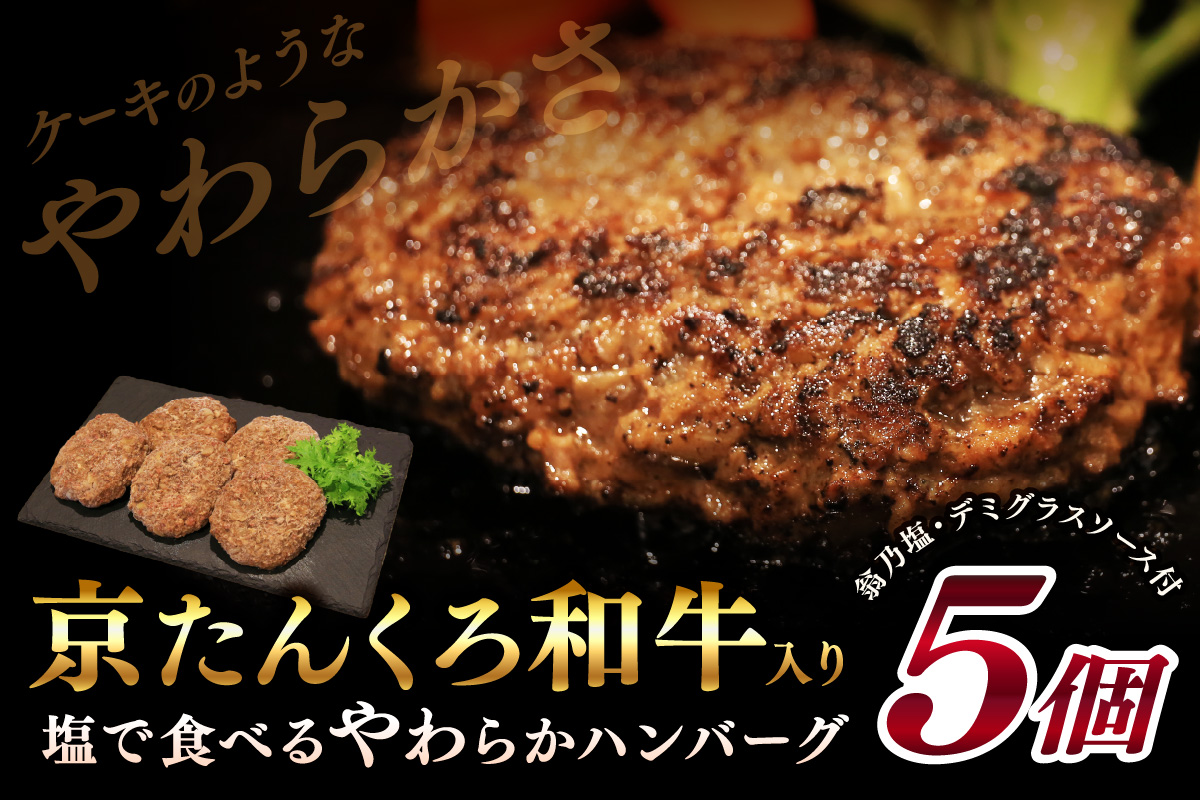 [年末(12月27日〜30日)配送]塩で食べるやわらかハンバーグ(デミグラスソース付) NH00042_12e