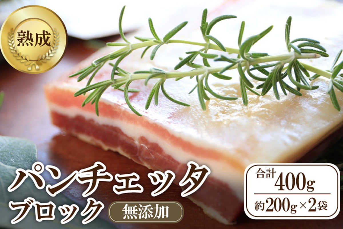 パンチェッタブロック（豚バラ肉の塩漬け）　約200g×2袋 ふるさと納税 豚肉 塩漬け ふるさと納税 ベーコン ふるさと納税 パンチェッタ 豚バラ 塩漬け スペイン料理　NI00021