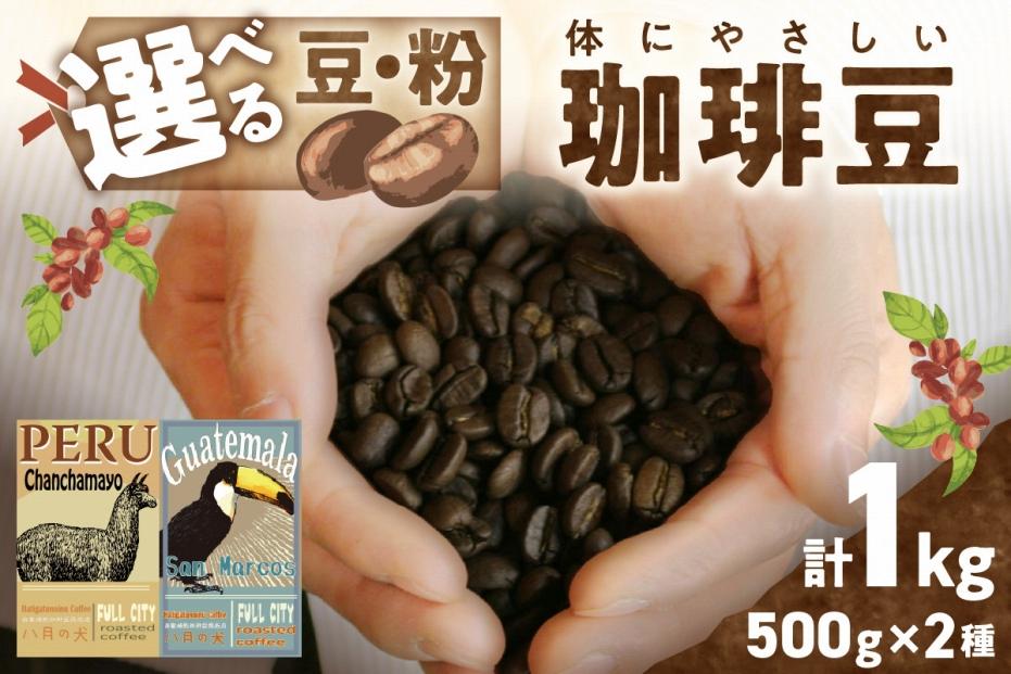 [栽培期間中農薬不使用]自家焙煎コーヒー豆 飲み比べセット(500g×2種)[豆の挽き方:豆のまま]約100杯分 八月の犬 珈琲豆 ドリップ