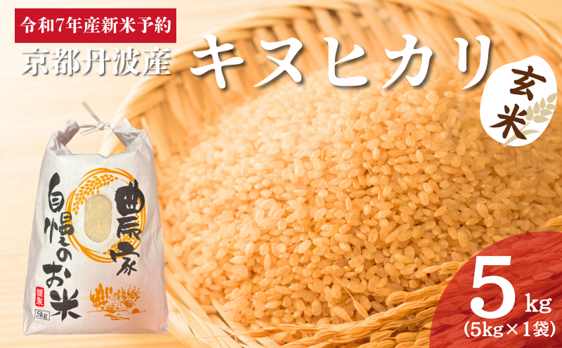 令和7年産新米予約 京都丹波産キヌヒカリ 玄米 5kg