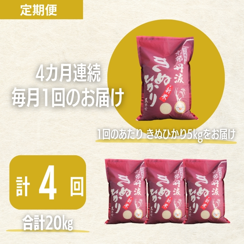 【4カ月定期便】令和7年産 新米 京都丹波産 きぬひかり 5kg 合計20kg