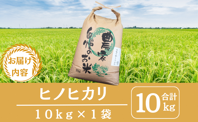 令和7年産 京都丹波産ヒノヒカリ 10kg お米 米 精米 白米