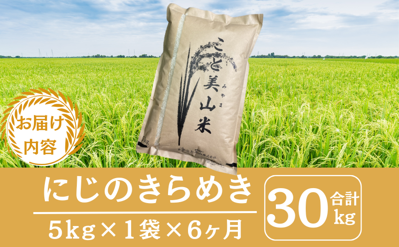 【定期便6回】令和7年産 にじのきらめき 5kg 美山町産 こと美山米