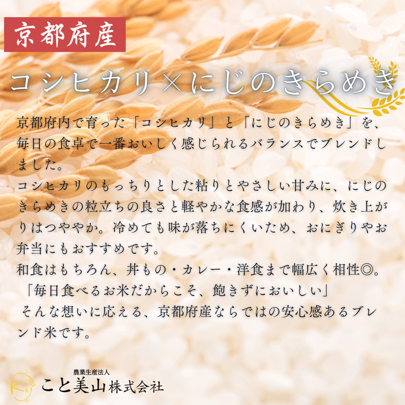 訳あり 令和7年産 こと美山米 10kg 精米 コシヒカリ にじのきらめき