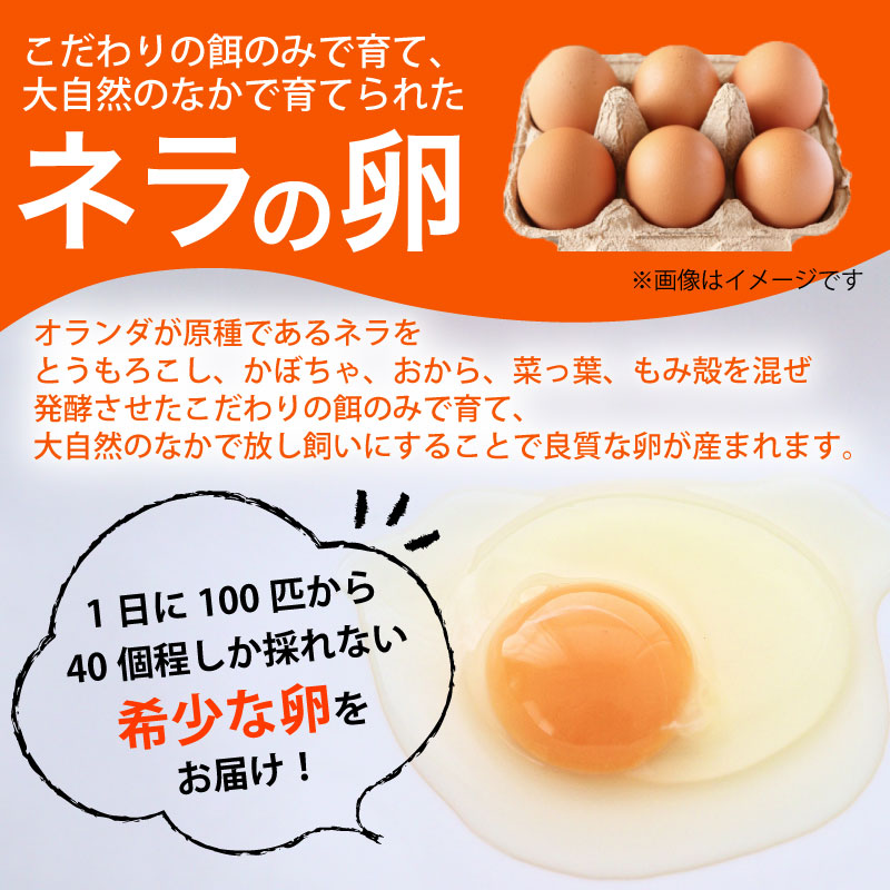【定期便6回】野菜セット 平飼い卵6個入り