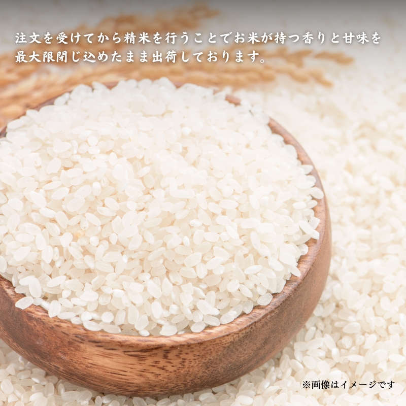 令和7年度産 にじのきらめき 10kg 美山町産 こと美山米 特別栽培米【2026年1月以降順次発送】