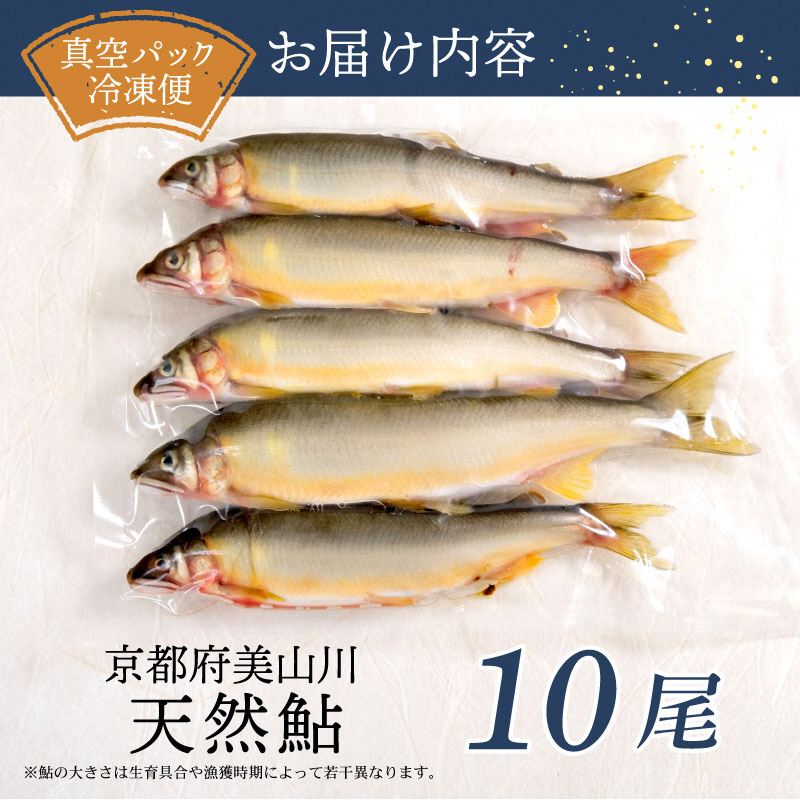 冷凍 美山川の天然鮎 10匹 | 魚 さかな 天然 鮎 川魚 料理 京都 南丹市
