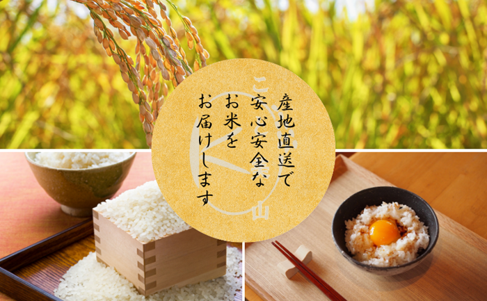 【定期便12回】令和7年産 にじのきらめき 10kg 美山町産 こと美山米