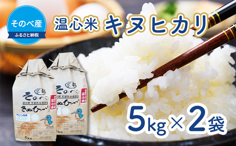 米 キヌヒカリ 5kg ×2袋 そのべ産 温心米 2025年度産 お米 10kg 単一原料米 きぬひかり 丹波 精米 白米 こめ コメ 京都
