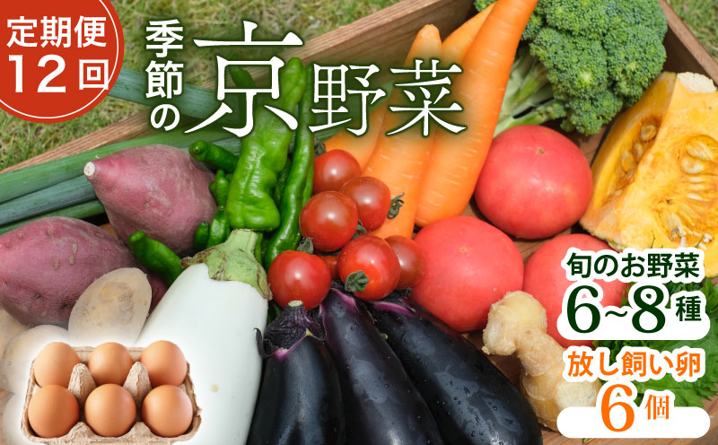 【定期便12回】野菜セット ネラの卵6個入り