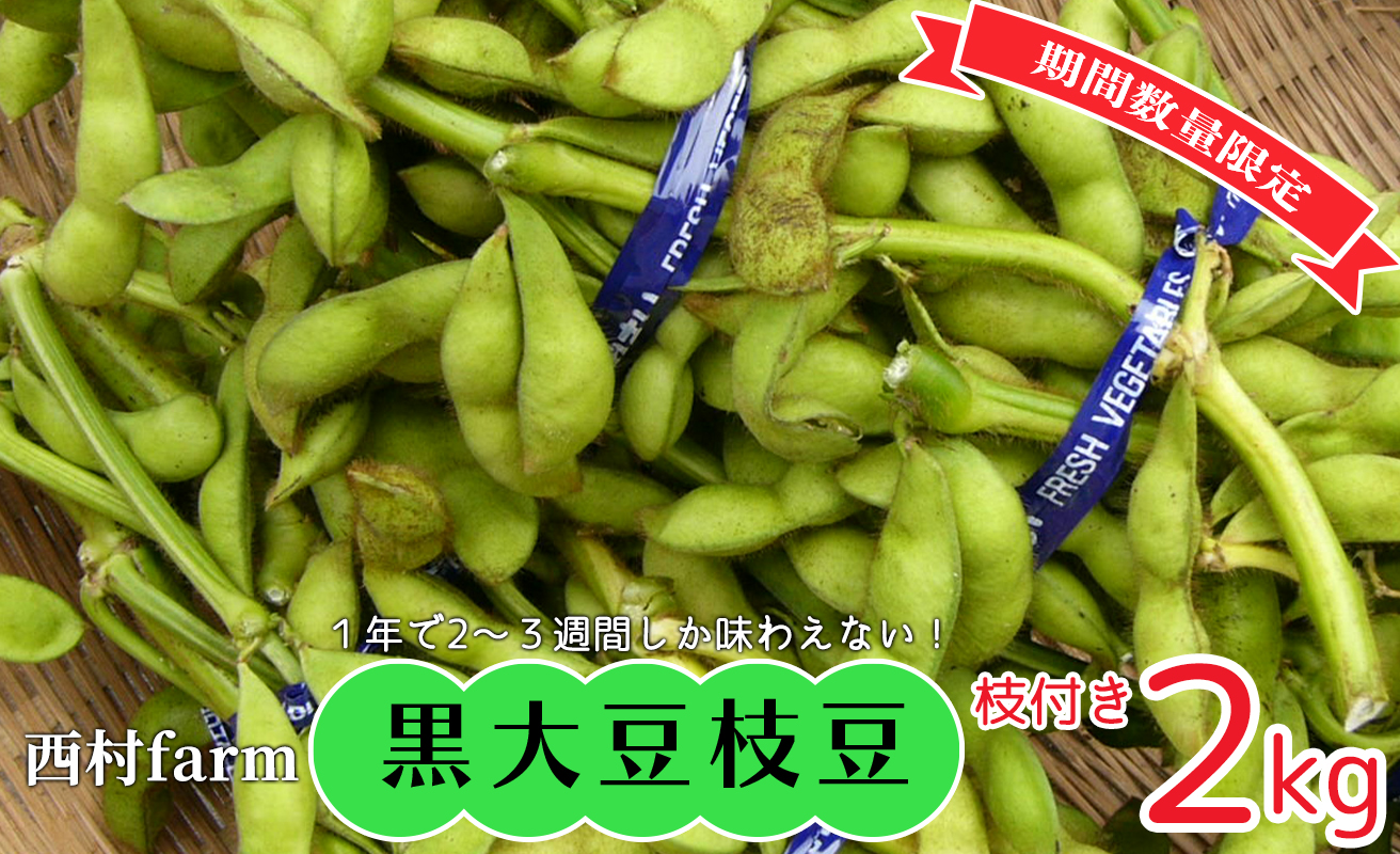 [期間・数量限定]京都丹波産 黒大豆枝豆 2kg[高島屋選定品