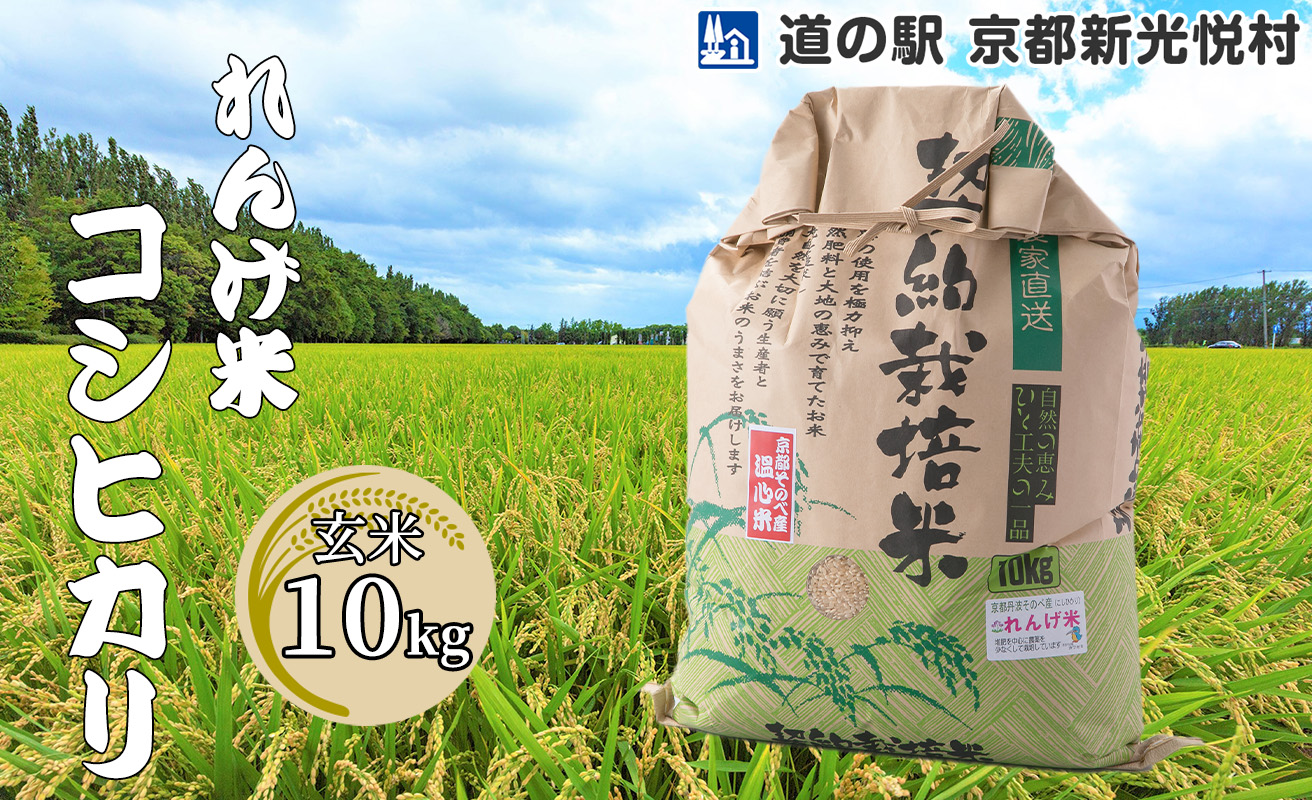 [新米]れんげ米コシヒカリ「玄米」10kg[高島屋選定品]021N527 [令和6年産新米予約]