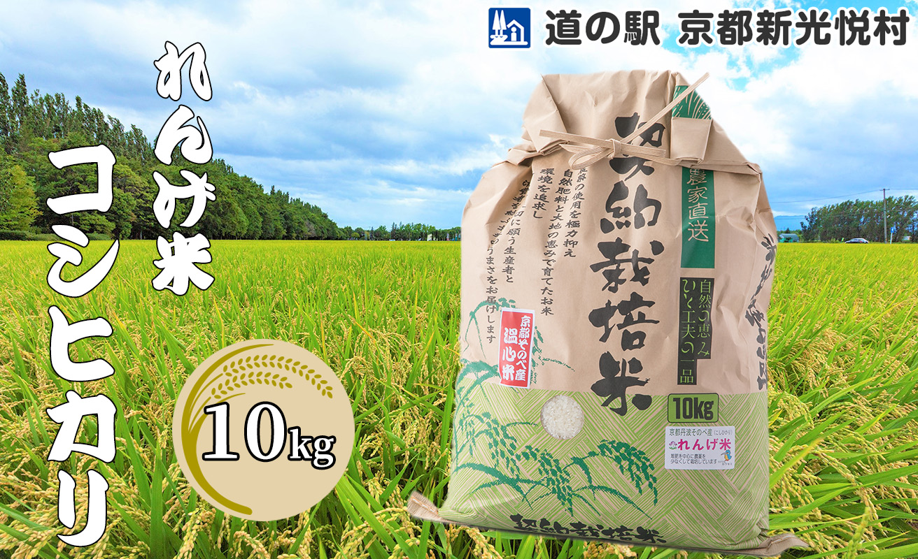 [道の駅 京都新光悦村] れんげ米コシヒカリ「白米」10kg[高島屋選定品]023N61