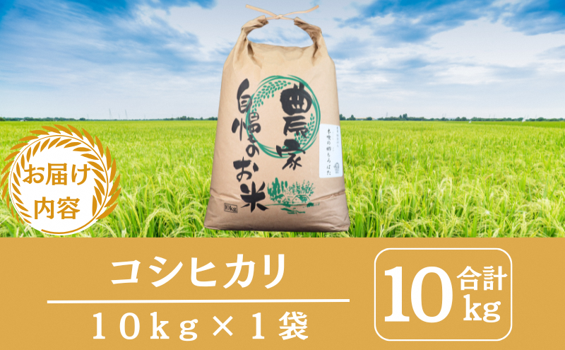 令和7年産新米 京都丹波産コシヒカリ 10kg　米 こしひかり 精米 白米