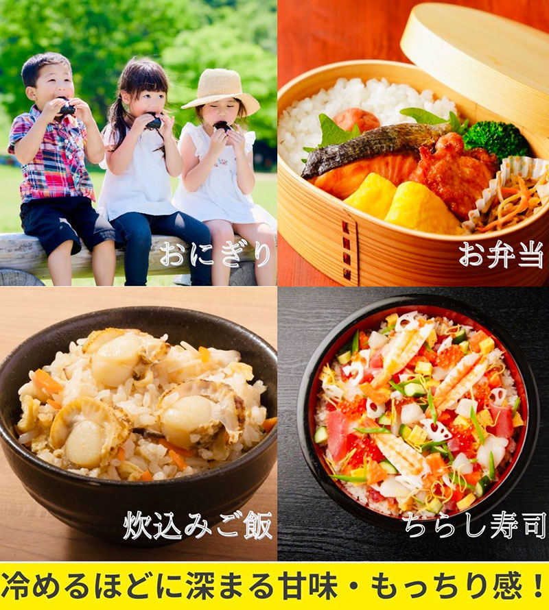 令和7年産新米 キヌヒカリ 10kg (玄米) 明田のお米