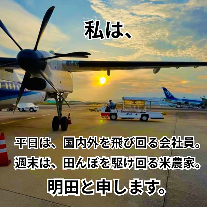 令和7年産新米 キヌヒカリ 10kg (玄米) 明田のお米