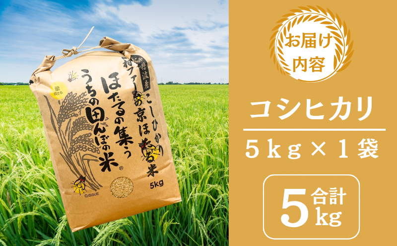 令和7年産 京都丹波産 コシヒカリ 5kg 西村ファーム 京ほたる米