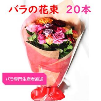 【バラ専門生産者直送】バラの花束(色とりどり20本)【配送不可地域：離島・沖縄県】