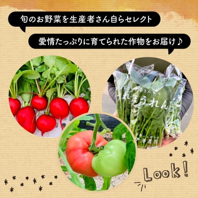 【訳アリ】 季節の野菜 詰め合わせ 6～10種 京都