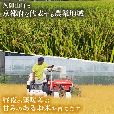 ヒノヒカリ無洗米5kg