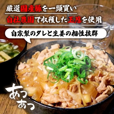 自家製生姜焼き丼の具150g×4食分【配送不可地域：離島】