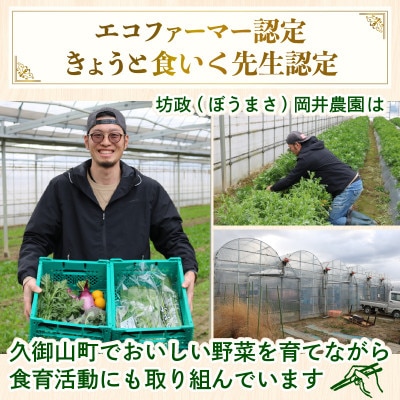 【訳あり】季節の野菜セット4～6品　京都府久御山町産【配送不可地域：離島】