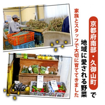 【訳アリ】たまねぎ 5kg　京都府久御山町産