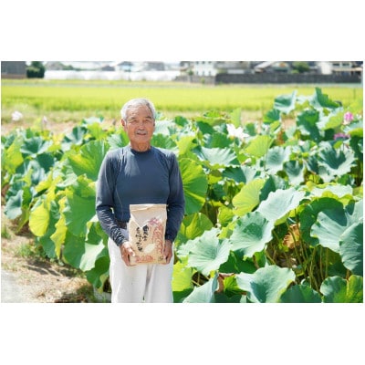 【期間限定】令和7年産 米 ひとめぼれ 5kg 京都府久御山町 大人気のお米(精米)5キロをお届け