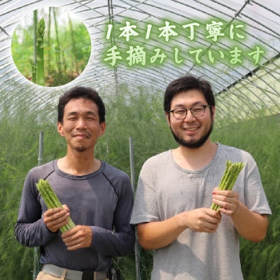 【先行受付】2026年産 数量限定 アスパラガス 1kg L～2Lサイズ 京都府久御山町産 朝採り【配送不可地域：離島】