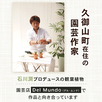 観葉植物 インテリア メキシコケンチャヤシ ホワイトポット 約80cm×1【配送不可地域：北海道・東北】