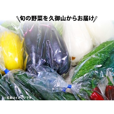 【発送月固定定期便】夏冬の野菜6～8種セット全2回【配送不可地域：離島・北海道・沖縄県】