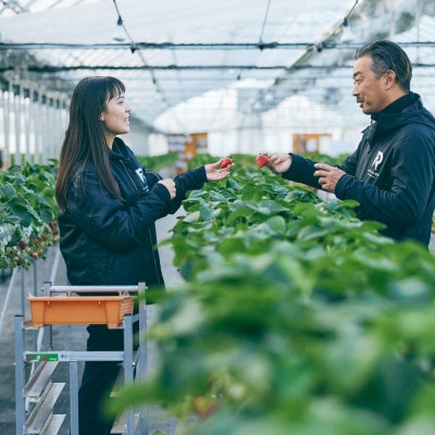 あざといちご　400g×1パック【配送不可地域：離島】