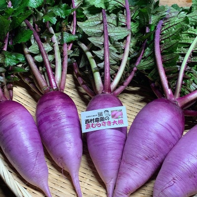 【京野菜】京むらさき大根ドレッシング　200ml×2本セット(レシピカード付き)