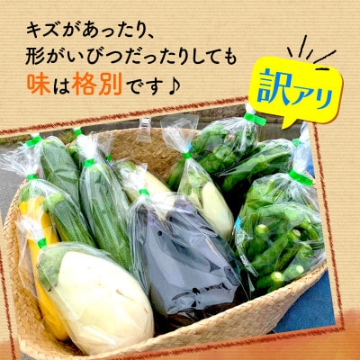 【訳アリ】 季節の野菜 詰め合わせ 6～10種 京都