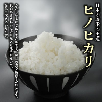 ヒノヒカリ無洗米5kg